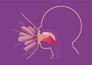 Dziecko chwyta brodawkę sutkową wraz z otoczką.