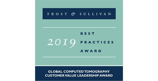 Nagroda Frost&nbsp;&&nbsp;Sullivan
