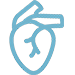 cardiovascular icon