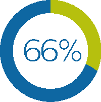 element graficzny &bdquo;66 procent&rdquo;