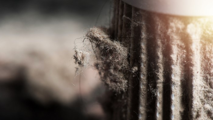 Jak czyścić filtr odkurzacza bezworkowego?