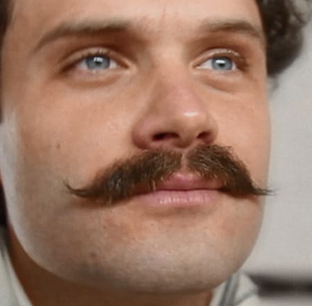 Wąsy Podkręcone Do G&oacute;ry