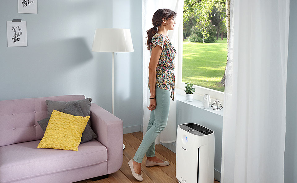 Czyste powietrze w domu