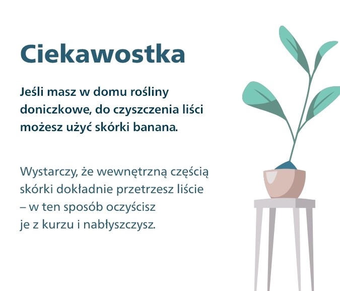 Czyszczenie roślin z kurzu sk&oacute;rką banana.