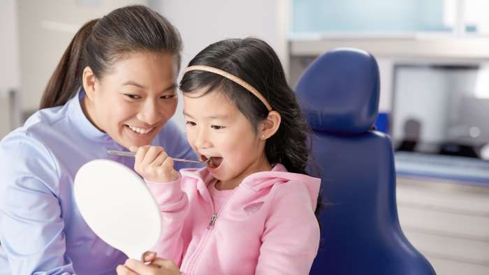 Jakie są rodzaje i ile zęb&oacute;w ma człowiek? 