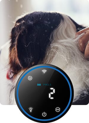 Wskaźnik alergen&oacute;w IAI