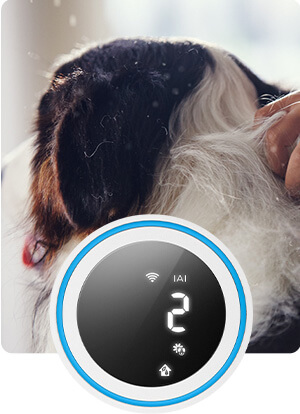 Wskaźnik alergen&oacute;w IAI