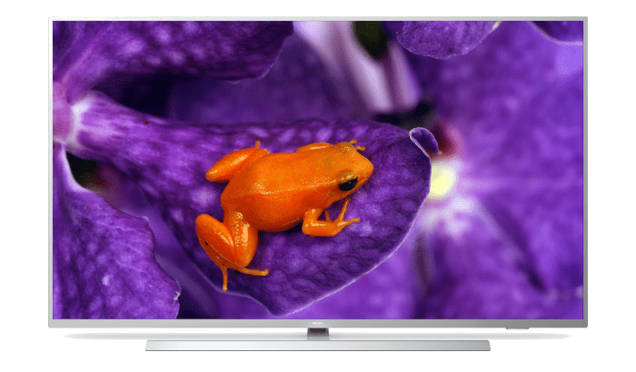 Profesjonalne telewizory &mdash; oprogramowanie Android