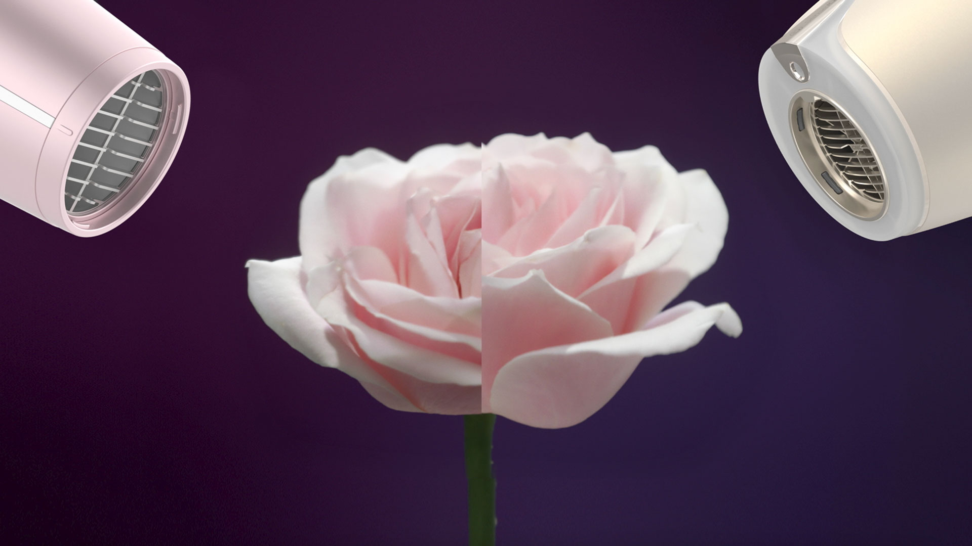 Działanie technologii SenseIQ, automatycznie dostosowującej temperaturę suszenia włos&oacute;w i zapobiegającej przegrzewaniu w inteligentnych suszarkach Philips.